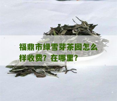 福鼎市绿雪芽茶园怎么样收费？在哪里？