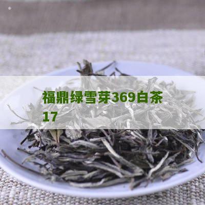 福鼎绿雪芽369白茶17