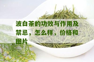 波白茶的功效与作用及禁忌，怎么样，价格和图片