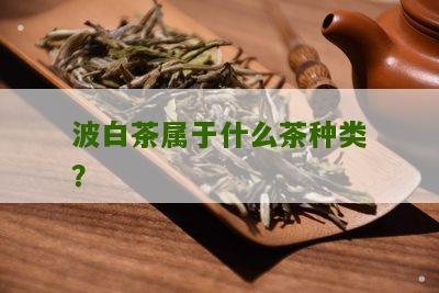 波白茶属于什么茶种类？