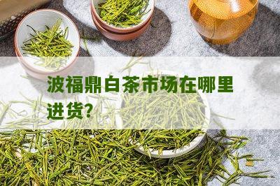 波福鼎白茶市场在哪里进货？