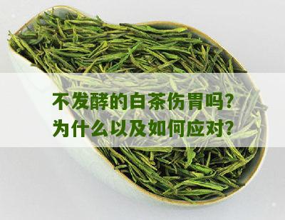 不发酵的白茶伤胃吗？为什么以及如何应对？