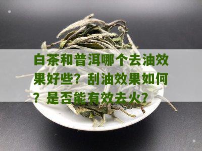 白茶和普洱哪个去油效果好些？刮油效果如何？是否能有效去火？