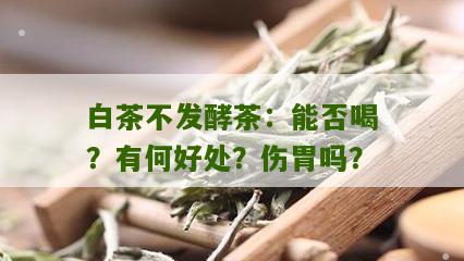 白茶不发酵茶：能否喝？有何好处？伤胃吗？