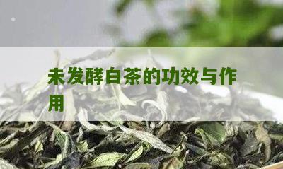 未发酵白茶的功效与作用