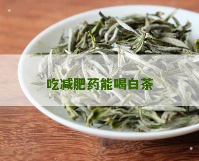 吃减肥药能喝白茶