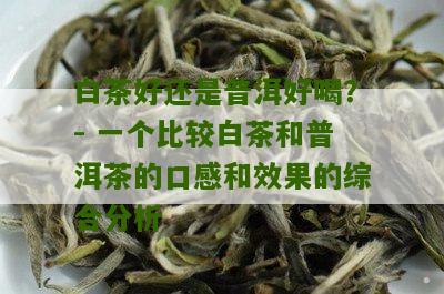 白茶好还是普洱好喝？- 一个比较白茶和普洱茶的口感和效果的综合分析