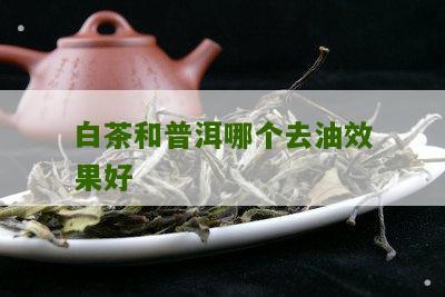 白茶和普洱哪个去油效果好