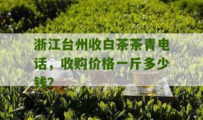 浙江台州收白茶茶青电话，收购价格一斤多少钱？