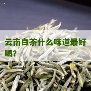 云南白茶什么味道最好喝？