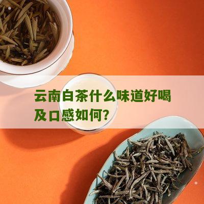 云南白茶什么味道好喝及口感如何？