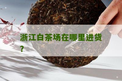 浙江白茶场在哪里进货？