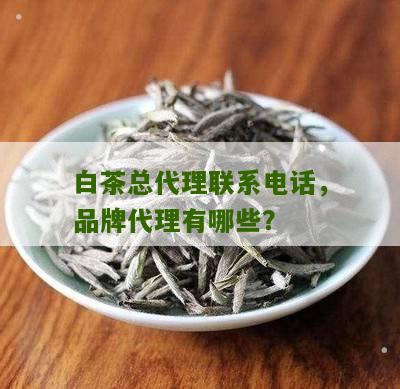 白茶总代理联系电话，品牌代理有哪些？