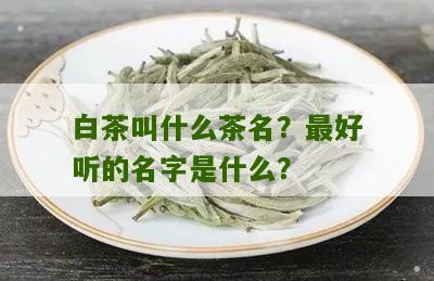 白茶叫什么茶名？最好听的名字是什么？