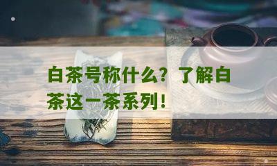 白茶号称什么？了解白茶这一茶系列！