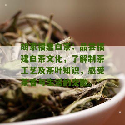 胡家福鼎白茶：品尝福建白茶文化，了解制茶工艺及茶叶知识，感受茶香与生活的交融。