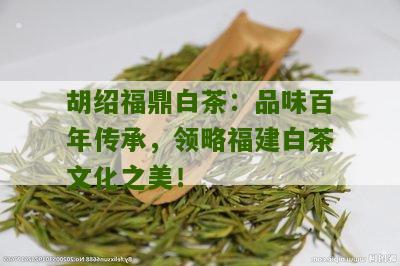 胡绍福鼎白茶：品味百年传承，领略福建白茶文化之美！