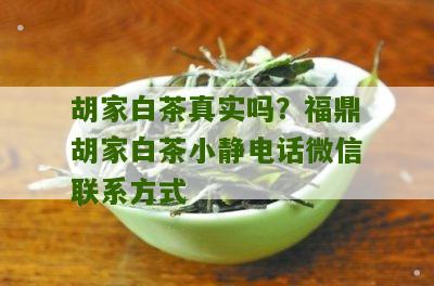 胡家白茶真实吗？福鼎胡家白茶小静电话微信联系方式