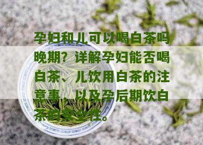 孕妇和儿可以喝白茶吗晚期？详解孕妇能否喝白茶、儿饮用白茶的注意事，以及孕后期饮白茶的安全性。