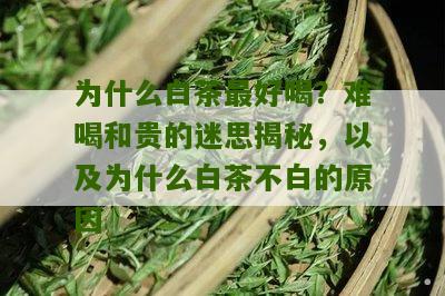 为什么白茶最好喝？难喝和贵的迷思揭秘，以及为什么白茶不白的原因