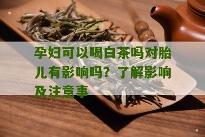 孕妇可以喝白茶吗对胎儿有影响吗？了解影响及注意事