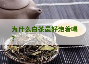 为什么白茶最好泡着喝？