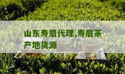 山东寿眉代理,寿眉茶产地货源