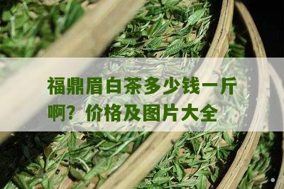 福鼎眉白茶多少钱一斤啊？价格及图片大全