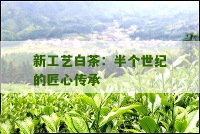 新工艺白茶：半个世纪的匠心传承