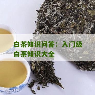 白茶知识问答：入门级白茶知识大全