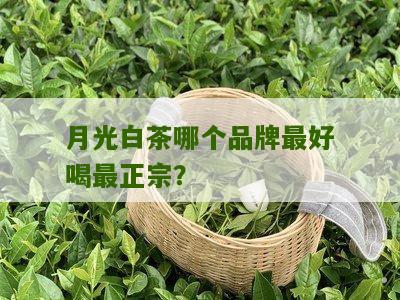 月光白茶哪个品牌最好喝最正宗？