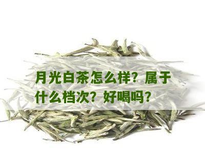 月光白茶怎么样？属于什么档次？好喝吗？