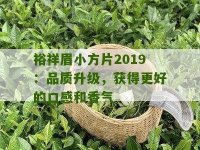 裕祥眉小方片2019：品质升级，获得更好的口感和香气