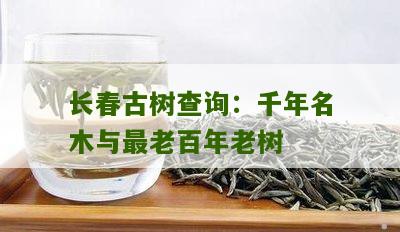 长春古树查询：千年名木与最老百年老树