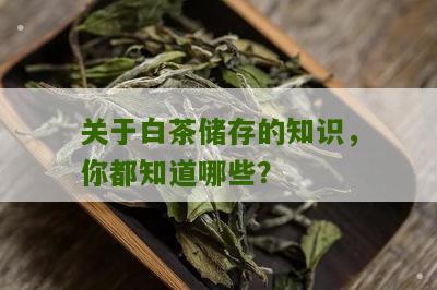 关于白茶储存的知识，你都知道哪些？