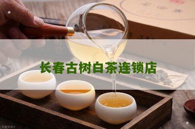 长春古树白茶连锁店