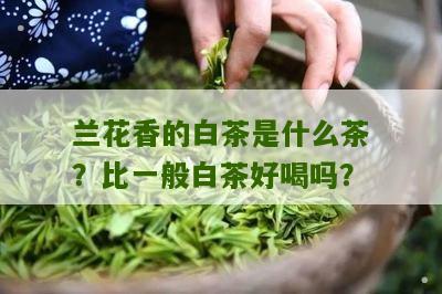 兰花香的白茶是什么茶？比一般白茶好喝吗？