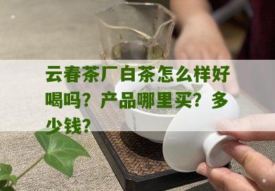 云春茶厂白茶怎么样好喝吗？产品哪里买？多少钱？