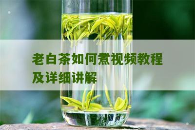 老白茶如何煮视频教程及详细讲解