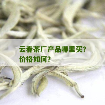 云春茶厂产品哪里买？价格如何？