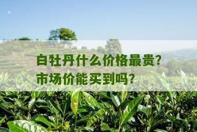 白牡丹什么价格最贵？市场价能买到吗？