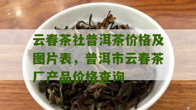 云春茶社普洱茶价格及图片表，普洱市云春茶厂产品价格查询