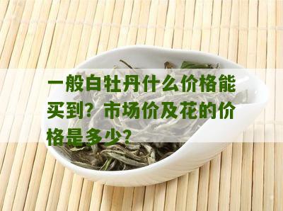 一般白牡丹什么价格能买到？市场价及花的价格是多少？