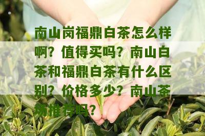 南山岗福鼎白茶怎么样啊？值得买吗？南山白茶和福鼎白茶有什么区别？价格多少？南山茶场推荐吗？