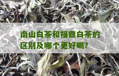 南山白茶和福鼎白茶的区别及哪个更好喝？