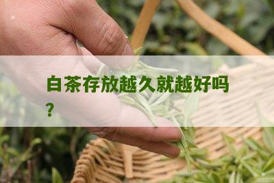 白茶存放越久就越好吗？