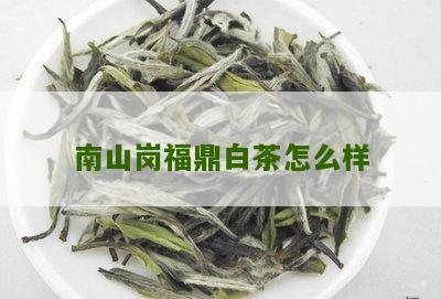 南山岗福鼎白茶怎么样