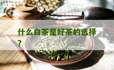 什么白茶是好茶的选择？