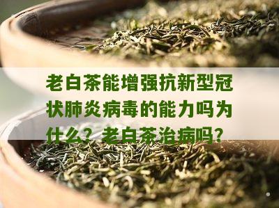 老白茶能增强抗新型冠状肺炎病毒的能力吗为什么？老白茶治病吗？