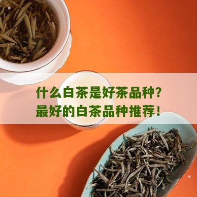 什么白茶是好茶品种？最好的白茶品种推荐！